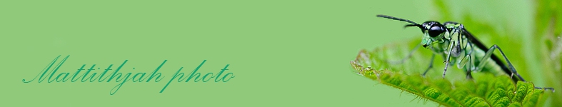 Banner profilu