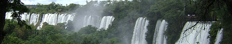 Banner profilu