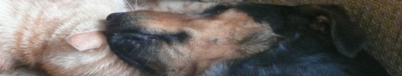 Banner profilu