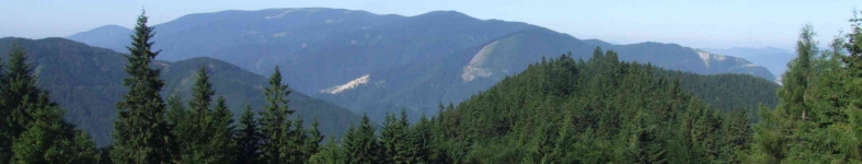 Banner profilu