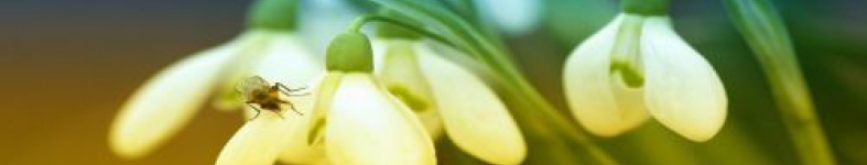 Banner profilu
