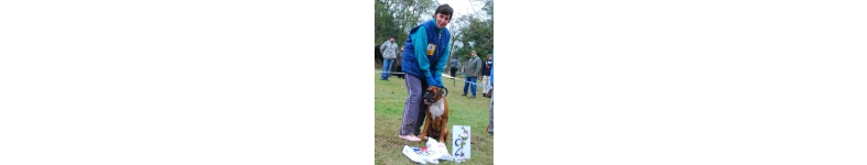 Banner profilu