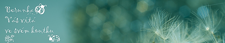 Banner profilu