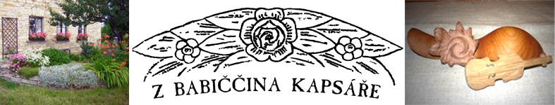 Banner profilu