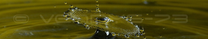 Banner profilu