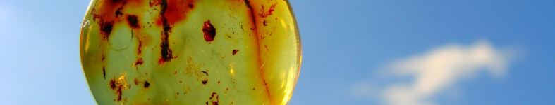 Banner profilu