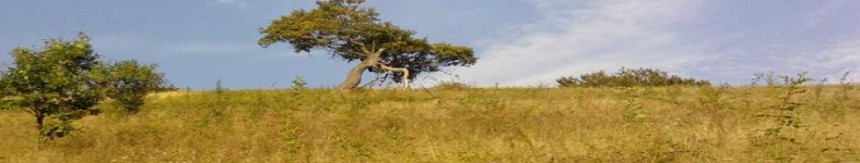 Banner profilu