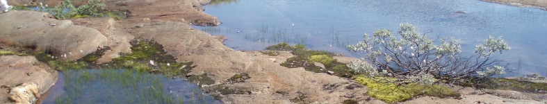 Banner profilu