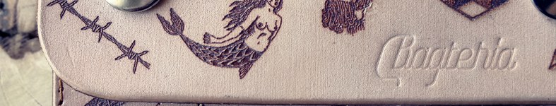 Banner profilu