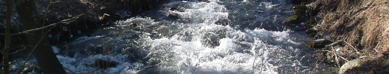 Banner profilu
