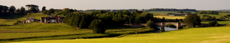 Banner profilu