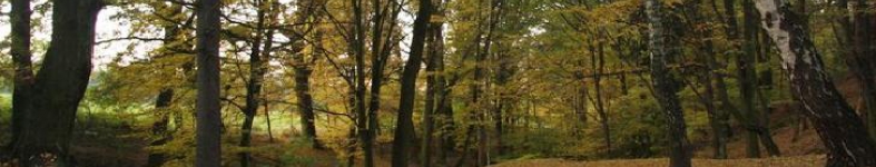 Banner profilu