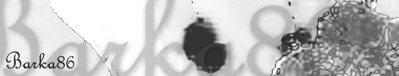 Banner profilu