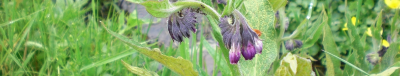 Banner profilu