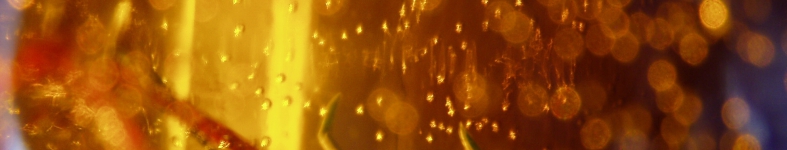 Banner profilu