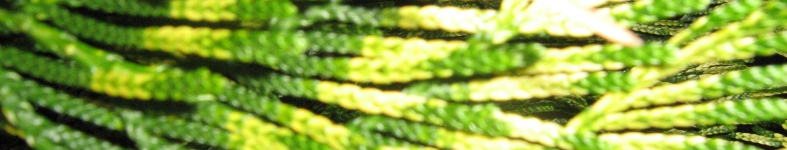 Banner profilu