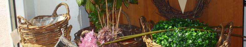 Banner profilu