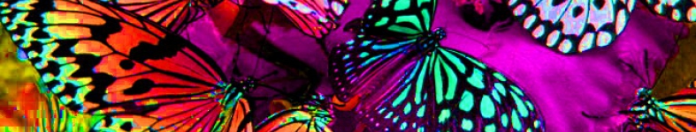 Banner profilu