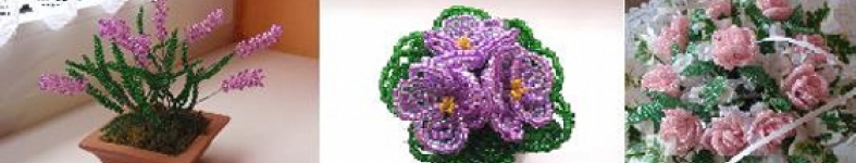 Banner profilu