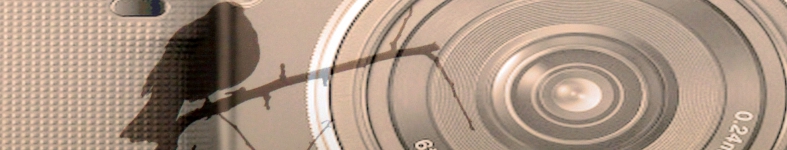 Banner profilu