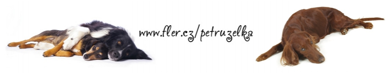 Banner profilu