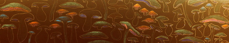 Banner profilu