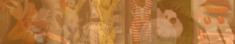 Banner profilu