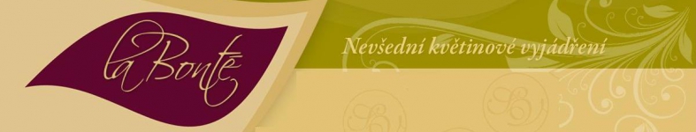 Banner profilu
