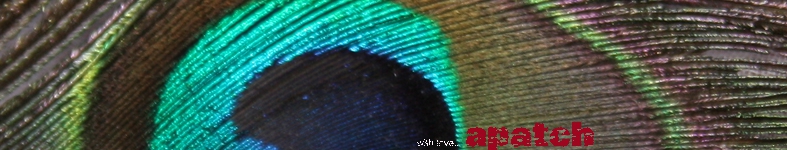 Banner profilu