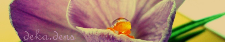Banner profilu