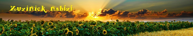 Banner profilu