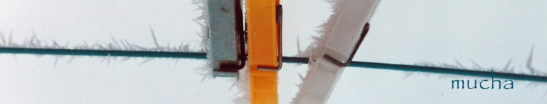 Banner profilu