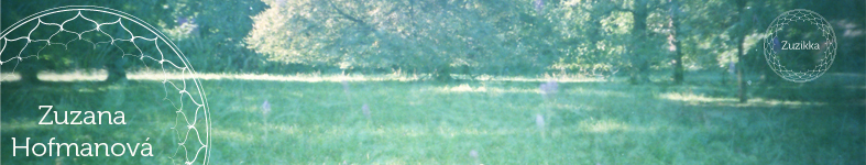 Banner profilu