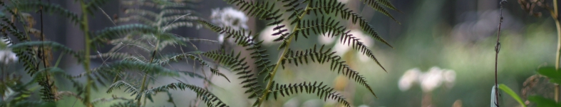 Banner profilu