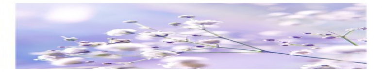Banner profilu