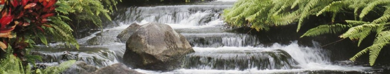 Banner profilu