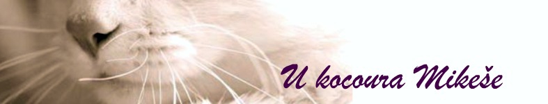 Banner profilu