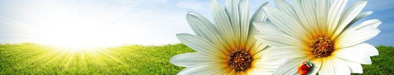 Banner profilu