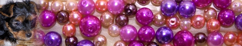 Banner profilu