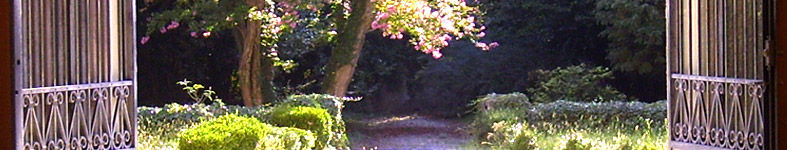 Banner profilu