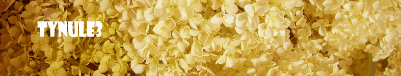 Banner profilu