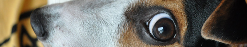 Banner profilu