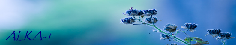 Banner profilu