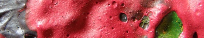 Banner profilu