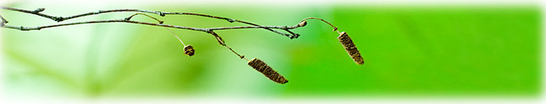 Banner profilu