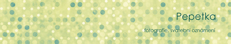 Banner profilu