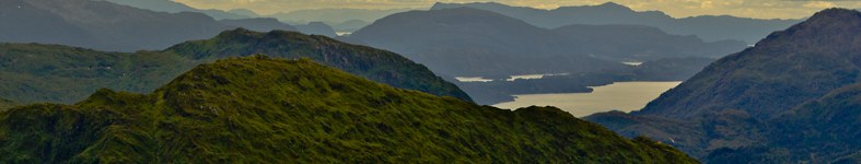 Banner profilu