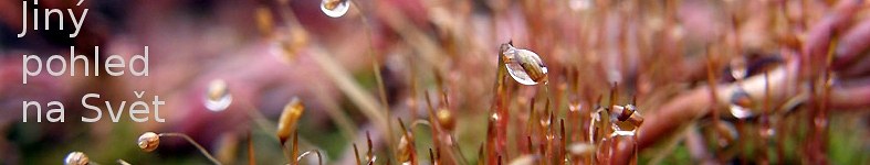 Banner profilu