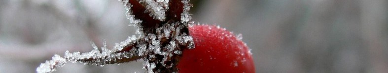 Banner profilu