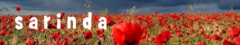 Banner profilu